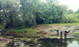Экологические услуги от ПромМир в Михайловке - стоимость от 12200 руб.