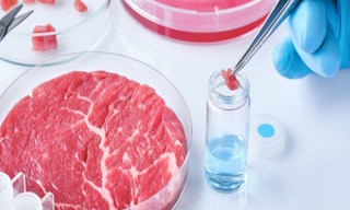Лабораторный анализ пищевых продуктов по СанПиН в Михайловке в октябре