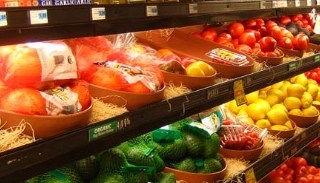 Сертификация пищевой продукции в Михайловке – цена от 10167 руб. | ПромМир