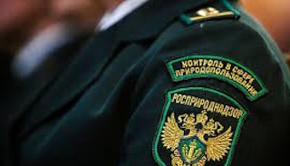 Подготовка к проверке Росприроднадзора в Михайловке от ПромМир, стоимость услуги от 20334 руб.